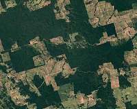 Deforestation in Brazil's Amazon up by more than double: data