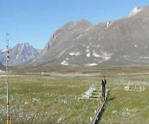 The tundra a dark horse in planet Earth's greenhouse gas budget