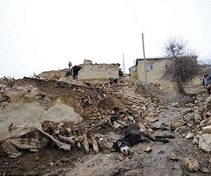 Strong quake kills 57 in Turkey