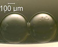 Synthetic Cells Shed Biological Insights While Delivering Battery Power
