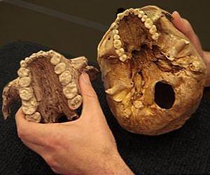Turning point for early human diets occurred 3.5 million years ago