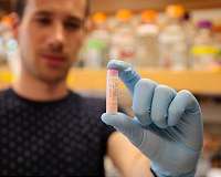 Scientists create alternate evolutionary histories in a test tube
