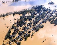 Vietnam typhoon claims livelihoods as well as lives