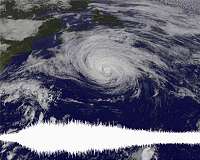 Tracking a typhoon's seismic footprint
