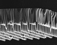 Making invisible physics visible