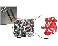 Even if imprisoned inside a crystal, molecules can still move