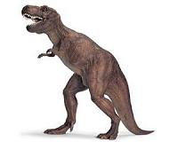New dinosaur had 'T. rex arms' that evolved independently