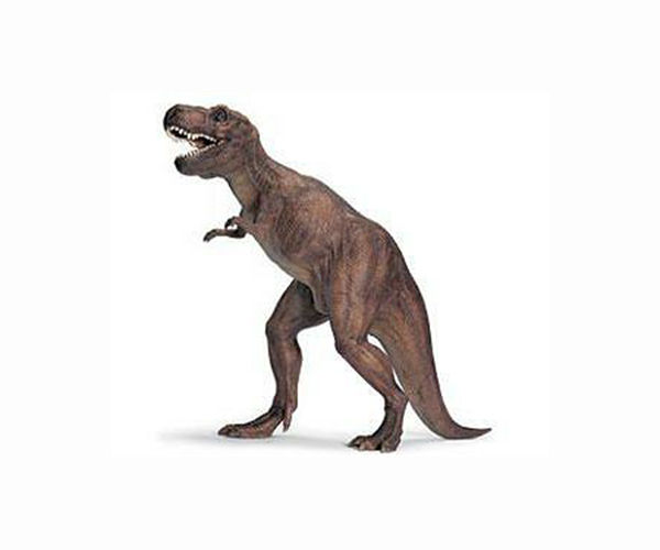 Study: T. rex's short arms may have reduced biting risk of hunting in packs
