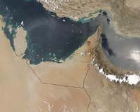 UAE Pioneers Way Into Space For Arab Countries