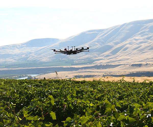 Automated drones could scare birds off agricultural fields