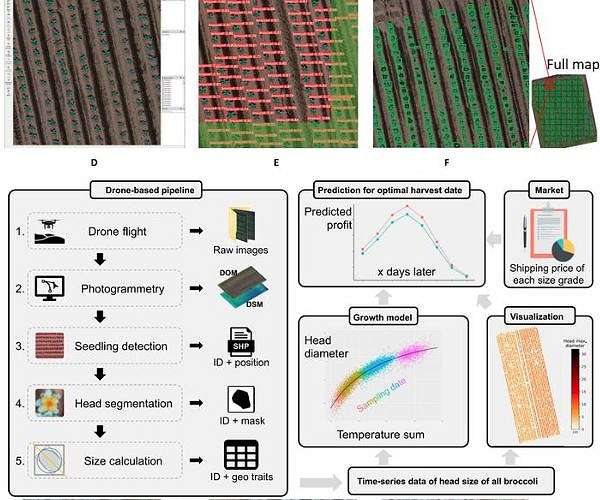 AI drones to help farmers optimize vegetable yields