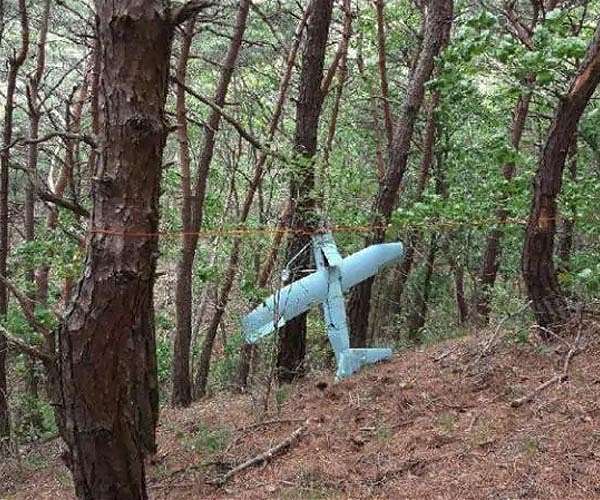 Seoul says military fired at N. Korean drones after incursion