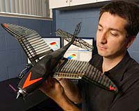 Airborne Drones, Mimicking Gulls, Alter Wing Shape For Agility