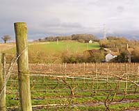 SolarCraft Completes Solar PV System At Ballentine Vineyards