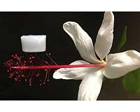 Ultra-lightweight ceramic material can withstand extreme temps