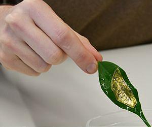 Eye-catching electronics
