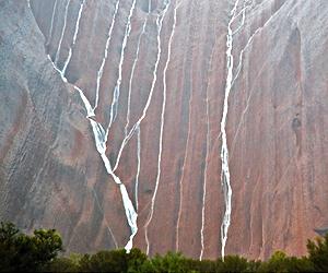 Research Helps Predict Future Impact Of Climate Change