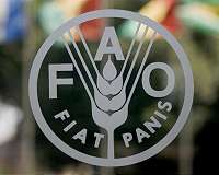 FAO warns food supply threatened by declining biodiversity