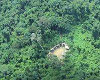 Remote Amazon tribe kills illegal gold miners: officials