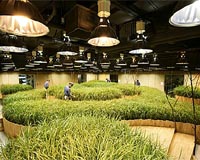 Tokyoites go farming to escape urban woes