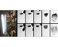 Universal laws in impact dynamics of dust agglomerates under microgravity conditions