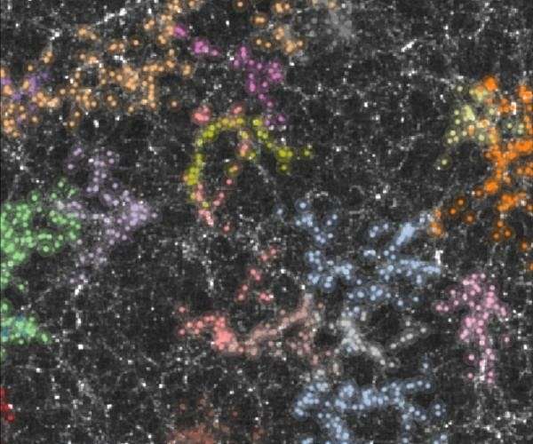 UAlbany physicists highlight ongoing progress in dark matter search