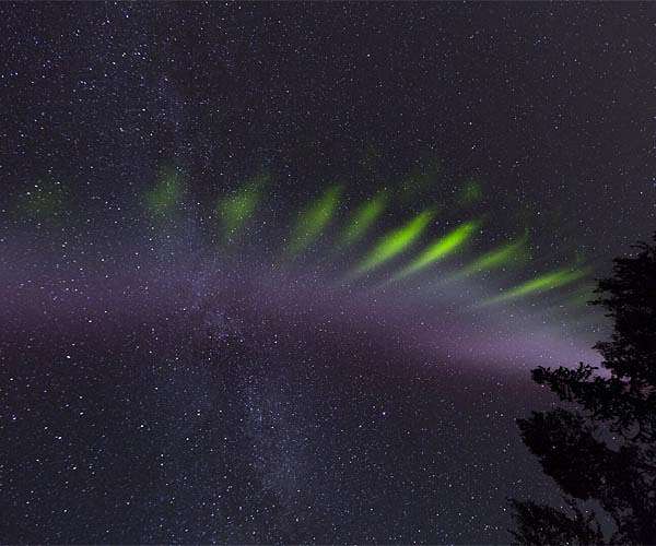 Aurora-Chasing Citizen Scientists Help Discover A New Feature of STEVE