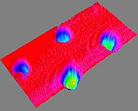Phoenix Microscope Takes First Image Of Martian Dust Particle