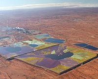 Graphene filter can clean nuclear wastewater