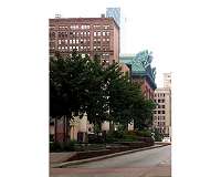 Growing need for urban forests as urban land expands
