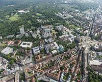 Urban warming slows tree growth, photosynthesis