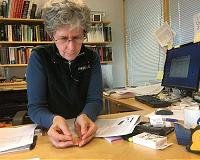 Making silicon-germanium core fibers a reality
