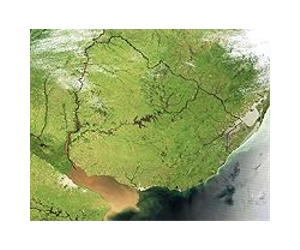Uruguay signals push for closer U.S. ties