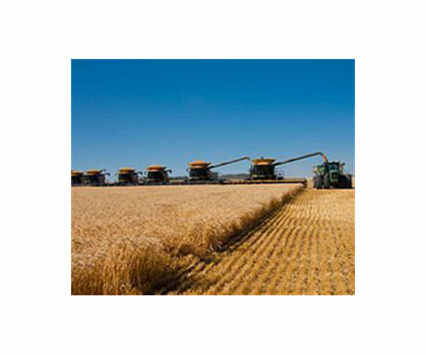 US agricultural water use declining for most crops and livestock production