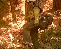 Setting fires to avoid fires