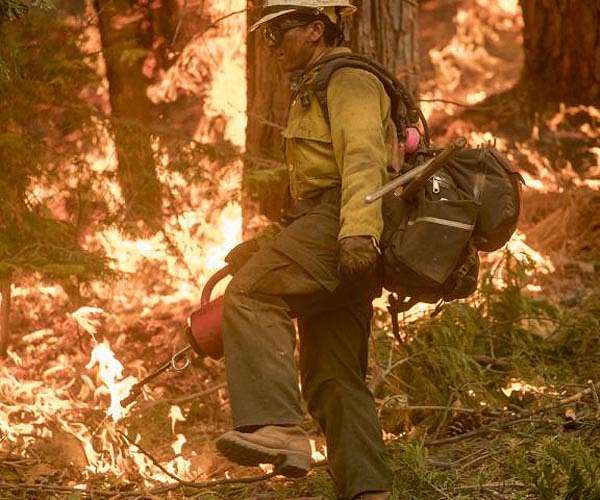US lawmakers advance forest management bill as fires scorch LA