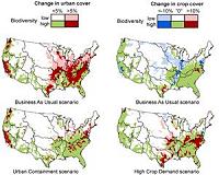 Decreasing land available for biodiversity offsetting, conservationists warn