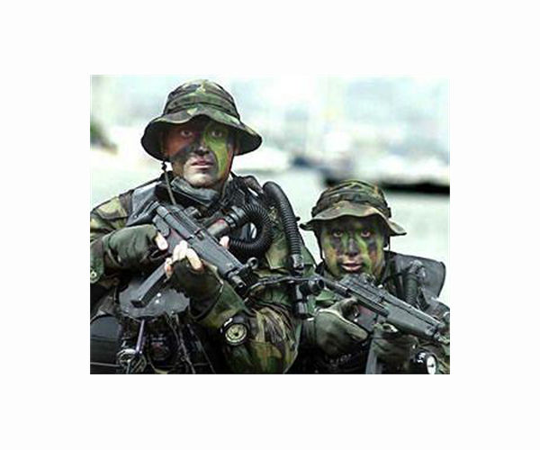 Navy report: inadequate oversight, other risks at deadly SEALs training program
