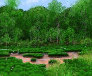 Buried leaves reveal precolonial eastern forests and guide stream restoration