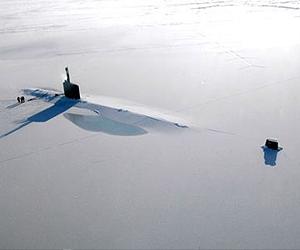 Increase in Arctic shipping poses risk to marine mammals