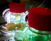 Ream develops storage cell for solar energy storage, nighttime conversion