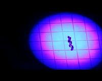 UV light can kill airborne flu virus, study finds