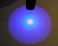LEDs used to produced plant antioxidants