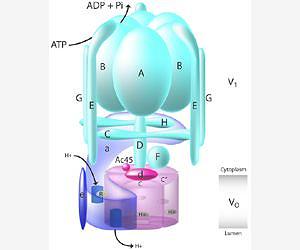 Evolution of complexity recreated using 'molecular time travel'