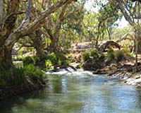 From River To Reef