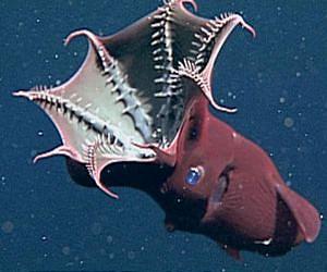 Creatures from the deep surface in NY exhibit