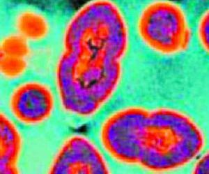 Genomic analysis of superbug provides clues to antibiotic resistance
