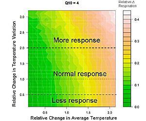 Climate projections don't accurately reflect soil carbon release