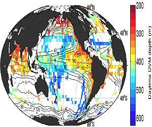 Migrating animals add new depth to how the ocean breathes