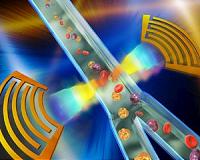 A fast cell sorter shrinks to cell phone size